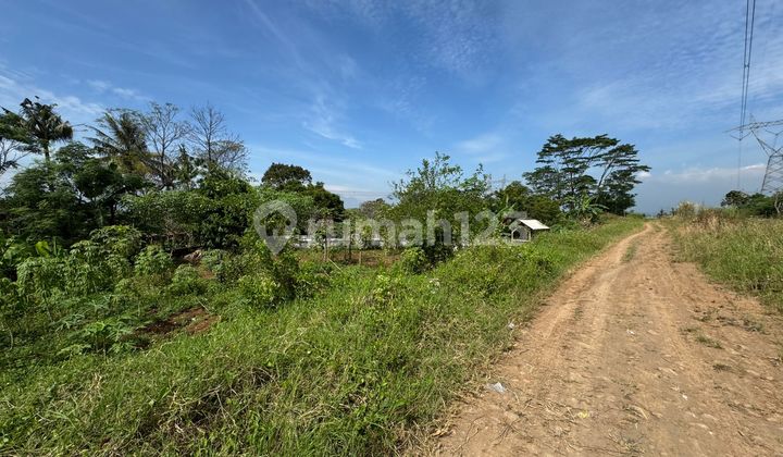 Dijual Tanah Kosong Strategis dan Murah di Jalan Siliwangi Dijual Tanah Kosong Strategis dan Murah di Jalan Siliwangi