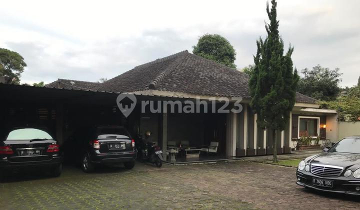 Rumah Strategis Pusat Kota SHM di Mainroad Jl Setiabudi Bandung Rumah Strategis Pusat Kota SHM di Mainroad Jl Setiabudi Bandung