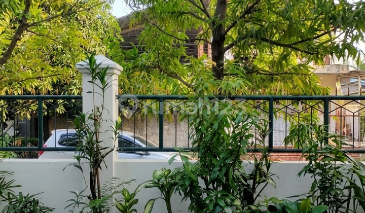 Rumah Asri Senayan Jakarta Selatan 2