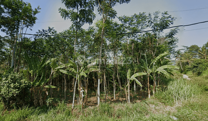 Lahan Zona Industri Boyolali  2