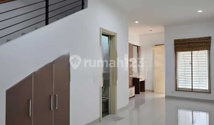 Dijual Termurah Phg, Cluster Chrysocolla, Gading Serponh