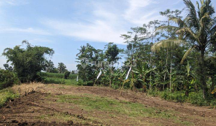 Tanah SHM Dijual – Cocok Perumahan, 5 Menit dari Kota Malang 1