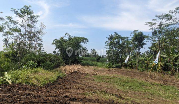 Tanah SHM Dijual – Cocok Perumahan, 5 Menit dari Kota Malang 2