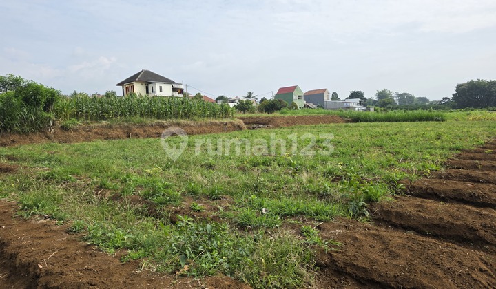 Malang Land Suitable for Slow Living in a Peaceful Area Malang Land Suitable for Slow Living in a Peaceful Area