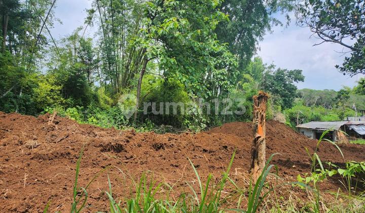 Legalitas Aman Kawasan Mahasiswa Dijual Tanah Poros Jalan