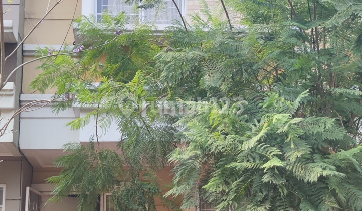 Nego Abissss!! Jual Murah Rumah Gading Serpong Harga Di Bawah Pasaran! Nego Abissss!! Jual Murah Rumah Gading Serpong Harga Di Bawah Pasaran!