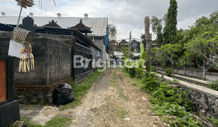 LAND FOR LEASE IN CANGGU – FREEHOLD TITLES (SHM), 25-YEAR LEASEHOLD 1