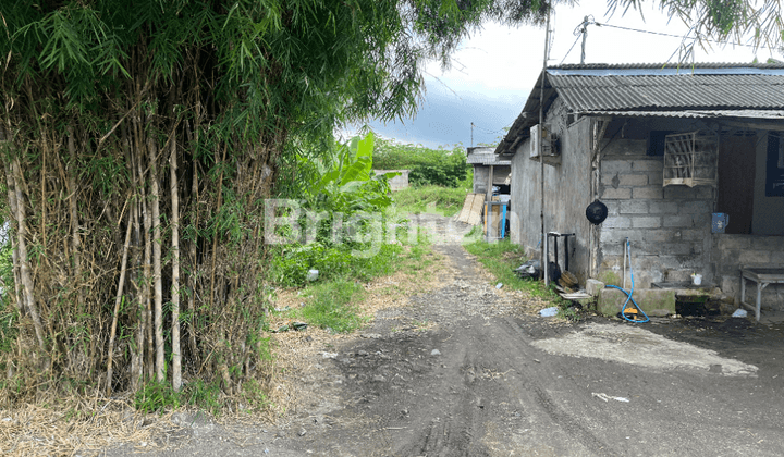 LAND FOR LEASE IN CANGGU – FREEHOLD TITLES (SHM), 25-YEAR LEASEHOLD 2