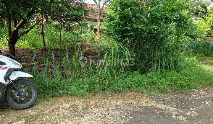 Dijual Tanah 200m2 Kampus Udayana Cocok Untuk Investasi 2