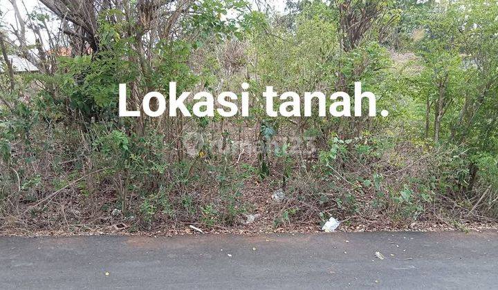 Dijual Cepat Tanah 570m2 Di Jl.mundeh Kutuh Badung 2