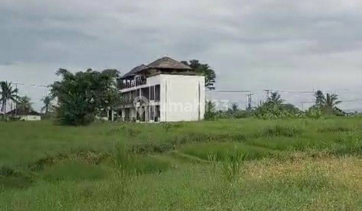 Dijual Tanah View Sawa 496m2 Jalan Kaki Ke Pantai Kedungu 2