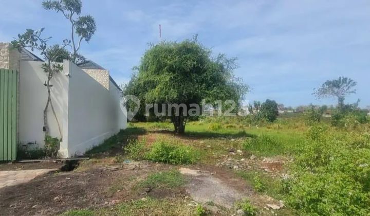 Premium Land 300M2 for Sale, Ideal for Investment Near Pandawa