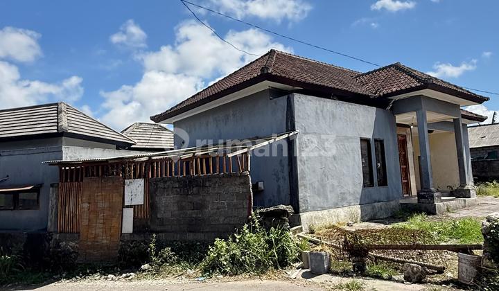 Dijual Tanah 230m2 Sangat Dekat Kampus Udayana Jimbaran Bali