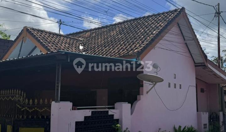 For Sale Quickly Minimalist House in Gianyar Bali 2