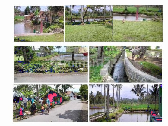 Tanah Darat Dan Kolam Jalan Baru Tasik Tanah Darat Dan Kolam Jalan Baru Tasik