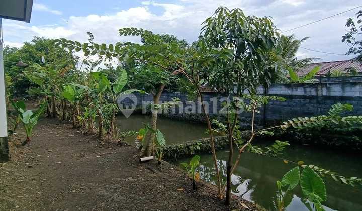 Rumah Villa Nyaman Luas Kota Tasik Rumah Villa Nyaman Luas Kota Tasik