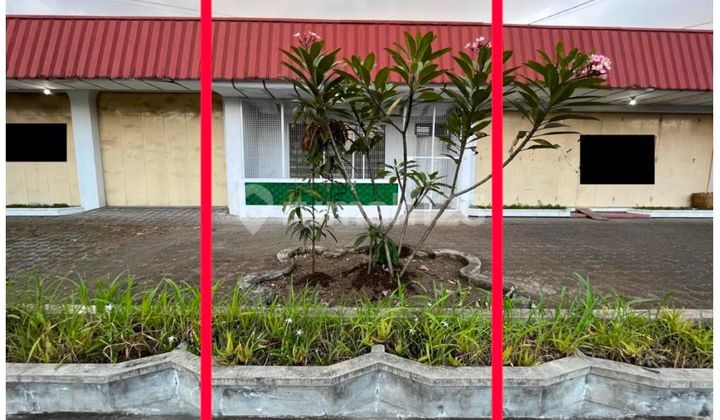 Kontrakan Ruang Usaha Rumah Siap Pakai Jalan Propinsi Kota Tasik Kontrakan Ruang Usaha Rumah Siap Pakai Jalan Propinsi Kota Tasik
