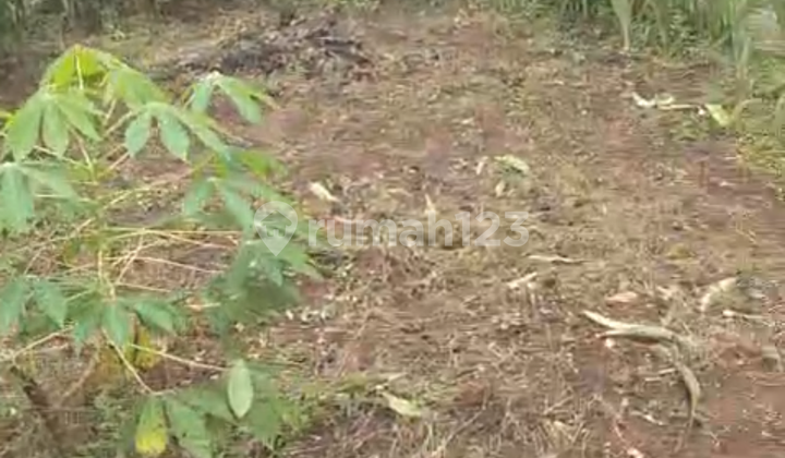 Large Asri House Pancasila Area, Tasikmalaya City 2