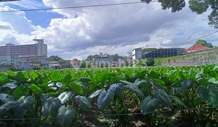 Rice Field Wide Rental House Downtown Tasik