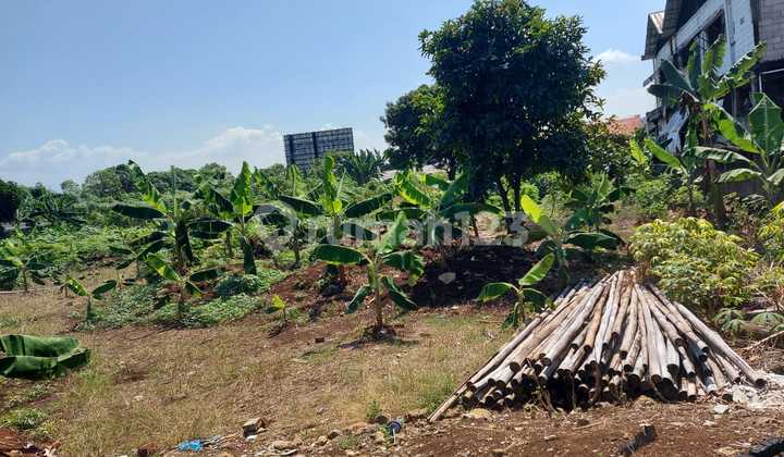 Land for rent in Disentul. Land for rent in Disentul.