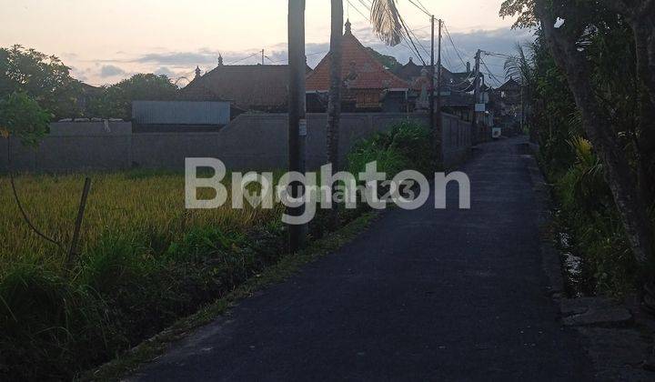 Tanah Sewa 13.5 Are Jalan Raya Guwang Ketewel Gianyar 2