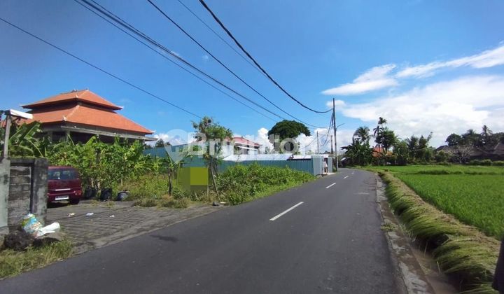 Tanah Sewa 5 are di Ketewel, Sukawati, Gianyar. Tanah Sewa 5 are di Ketewel, Sukawati, Gianyar.