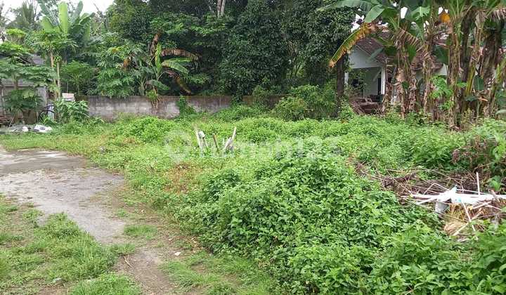 Tanah Pekarangan Siap Bangun Lokasi Strategis Dekat Pemda Sleman
