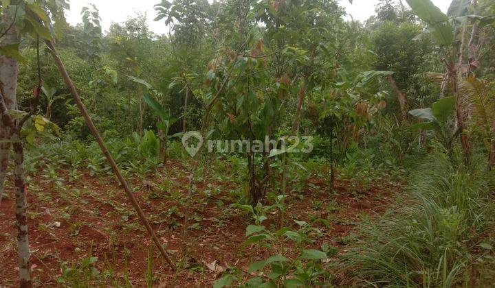 Miliki Tanah Seluas 1225 Meter Persegi Lokasi Patuk Gunung Kidul  1