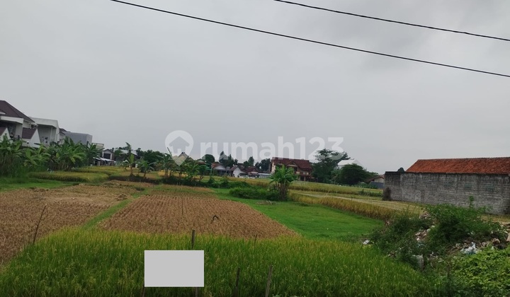 Dijual Tanah Sawah Strategis di Kasihan Bantul Yogyakarta