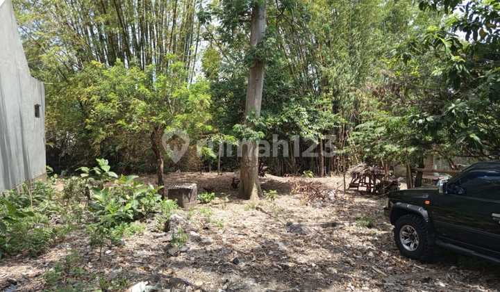 For Sale Prime Land Location in Kaliurang Road Area - Sleman