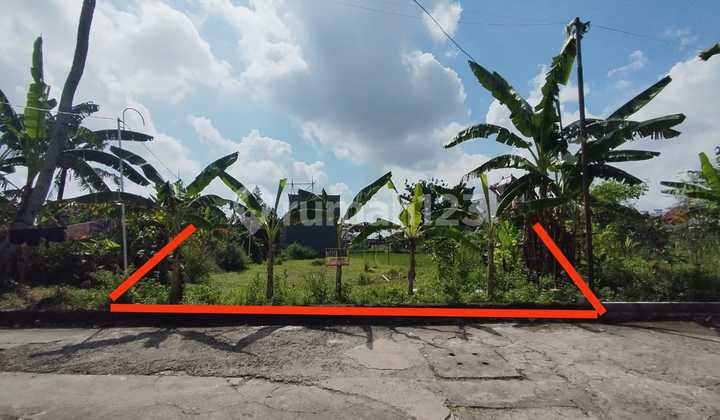 Tanah Sawah Luas 356 Meter Persegi Lokasi Strategis di Daerah Kasihan Bantul