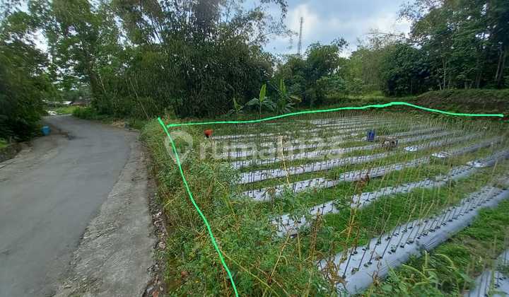Land Area 1000 Square Meters Strategic Location in Cangkringan Sleman Area