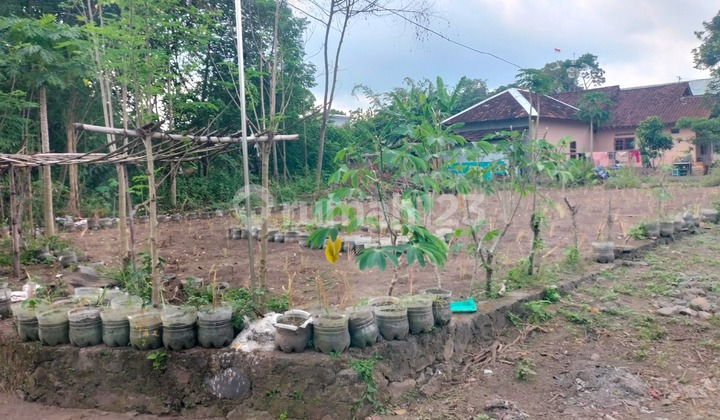 SHM Land 1,568 m² in Candirejo Ngaglik Sleman - Suitable for Residential & Investment