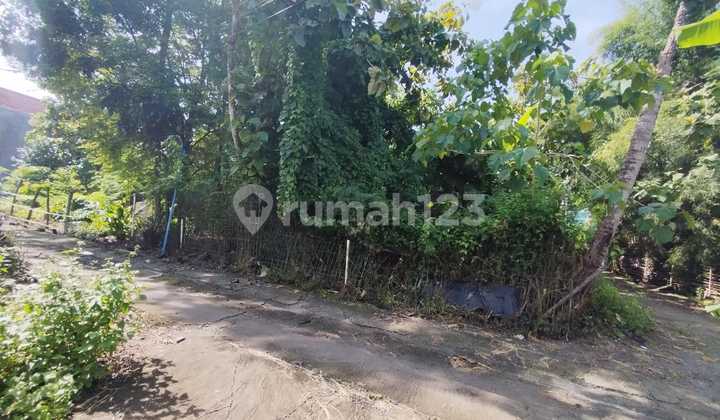 Land Area of 354 Square Meters, Strategically Located in Kasihan Hamlet - Bantul