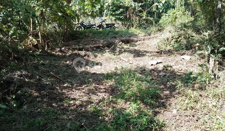 Yard Land in a Strategic Location Near Mercu Buana University - Sedayu Bantul