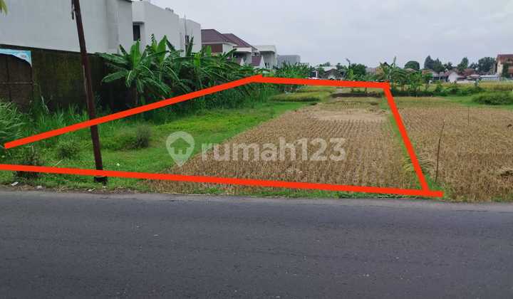 Dijual Tanah Sawah Cocok untuk Pertanian Lokasi Tirtonirmolo ,Kasihan Bantul Dijual Tanah Sawah Cocok untuk Pertanian Lokasi Tirtonirmolo ,Kasihan Bantul