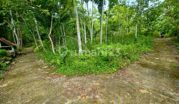 Tanag Pekarangan Luas 1511 Meter Persegi Lokasi Strategis di Bambang Lipuro - Bantul Tanag Pekarangan Luas 1511 Meter Persegi Lokasi Strategis di Bambang Lipuro - Bantul