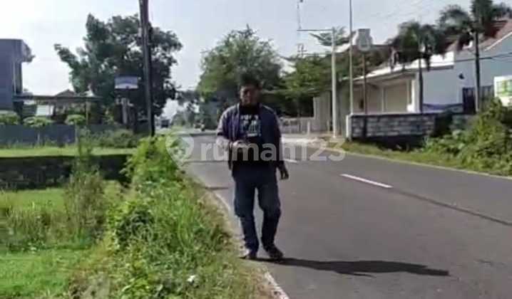 Rice field land for sale on Barongan Street, Canden Jetis Bantul area. Rice field land for sale on Barongan Street, Canden Jetis Bantul area.