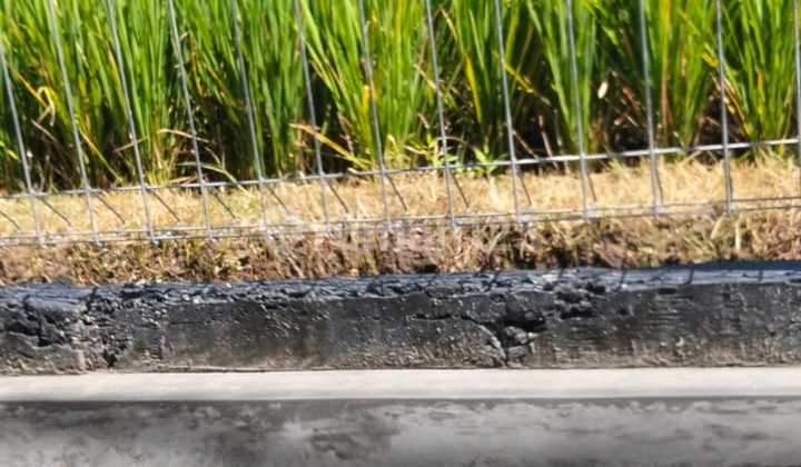 Dijual dan Disewakan Rumah Full Furnish Lokasi Dekat Pasar Gentan - Ngaglik Sleman 2