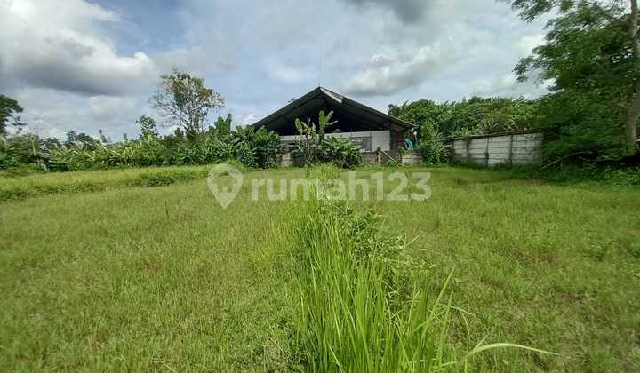 Tanah Sawah Lokasi Dekat Kawasan Wisata Kopi Klothok - Ngemplak Sleman Tanah Sawah Lokasi Dekat Kawasan Wisata Kopi Klothok - Ngemplak Sleman
