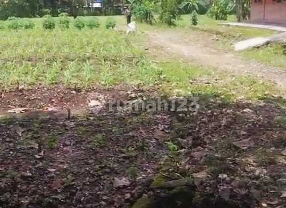 Tanah Luas 3030 Meter Persegi Lokasi di Daerah Ponjong Gunung Kidul 