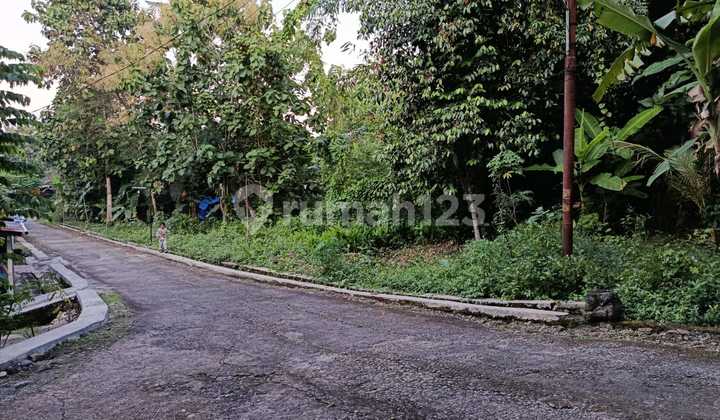 Investment Opportunity, 909 Square Meters Land Located in Argodadi Sedayu Bantul