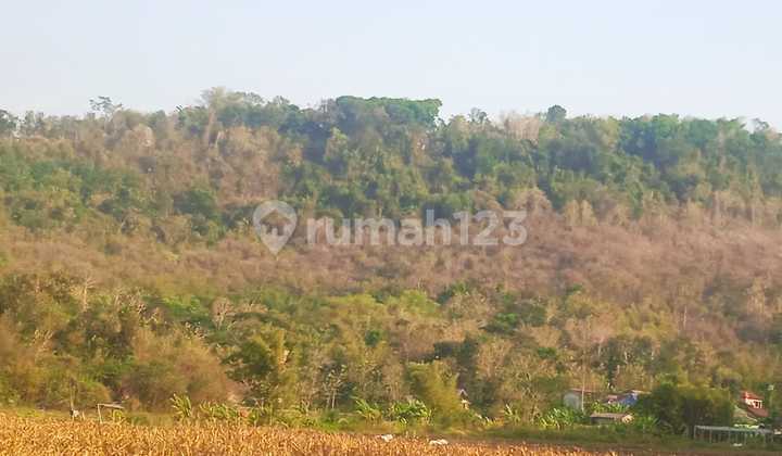 Tanah Tegalan Luas 1 Hectare - Kawasan Industri Piyungan (Cikal, Srimulyo)
