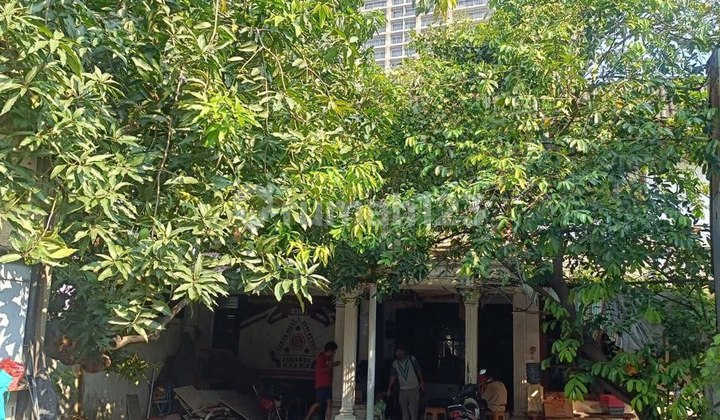 Dijual Rumah Hitung Tanah Di Bendungan Hilir Tanah Abang Jakpus Dijual Rumah Hitung Tanah Di Bendungan Hilir Tanah Abang Jakpus