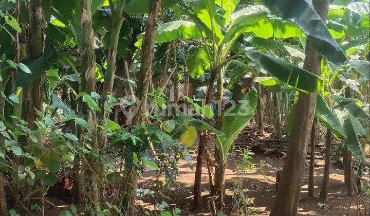 Tanah Dijual Di Jl Wibawa Mukti 2 Jatiasih Bekasi