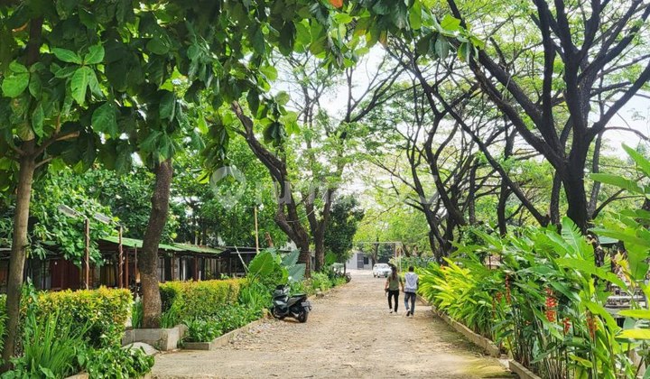 Cheap Sale of Large Land by the Main Road Near 2 Toll Gates & LRT Cheap Sale of Large Land by the Main Road Near 2 Toll Gates & LRT