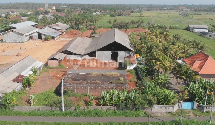 Investment Opportunity !! Inactive Cocopeat Factory For Sale - Fully Licensed, Strategic Location In Jembrana Bali.