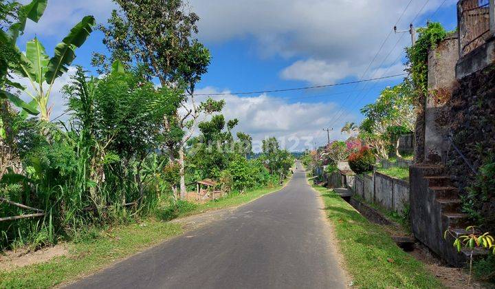 Dijual Tanah Luas 79 Are Petang Pelaga Badung 2