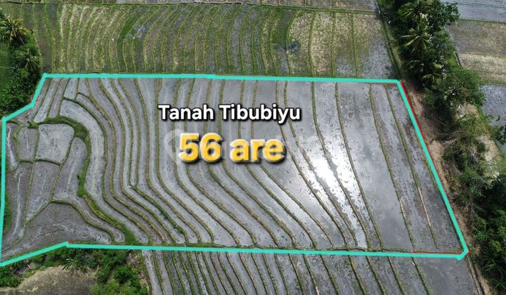 Land for Sale in Tibubiyu Tabanan Bali, Close to Pasut Beach. Suitable for Investment/Plot or Villa Complex.