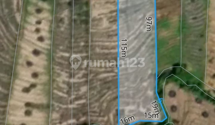 Land for Sale in Tibubiyu Tabanan Bali, Close to Pasut Beach. Suitable for Investment/Plot or Villa Complex.